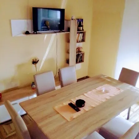 Timocko Gnezdo Country house Zajecar