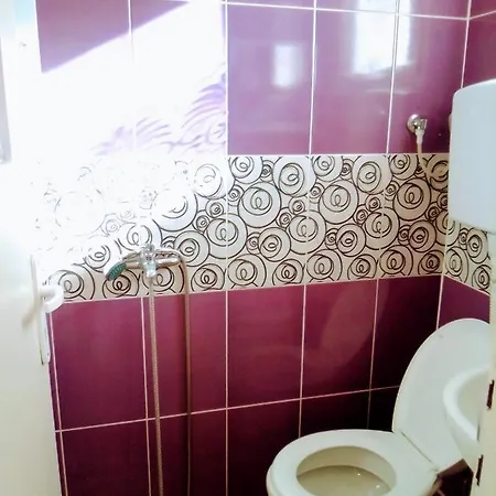 Timocko Gnezdo Country house Zajecar