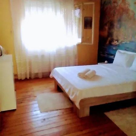 Timocko Gnezdo Landhaus Zaječar