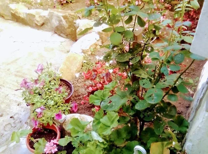 Timocko Gnezdo Seoska kuća Zajecar